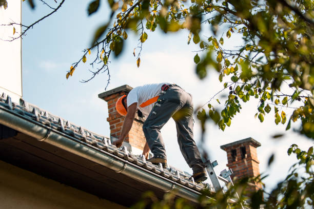 Gutter Installation and Roofing in Chocowinity, NC