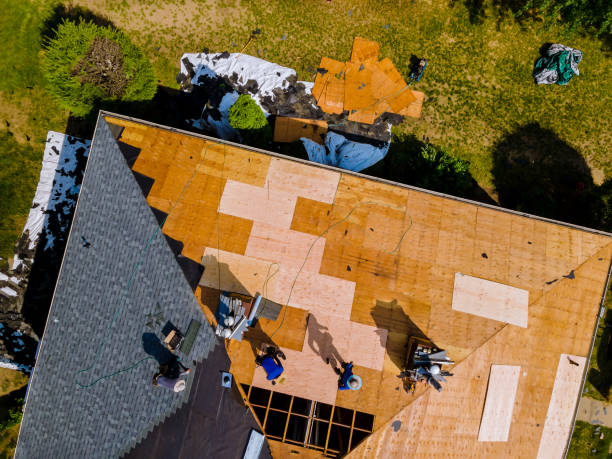 Best Storm Damage Roof Repair  in Chocowinity, NC