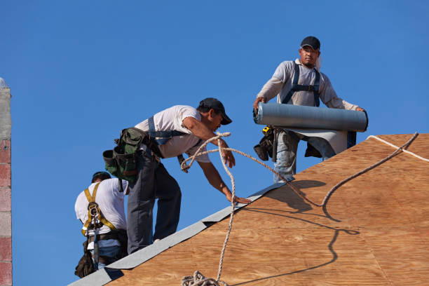 Best New Roof Installation  in Chocowinity, NC