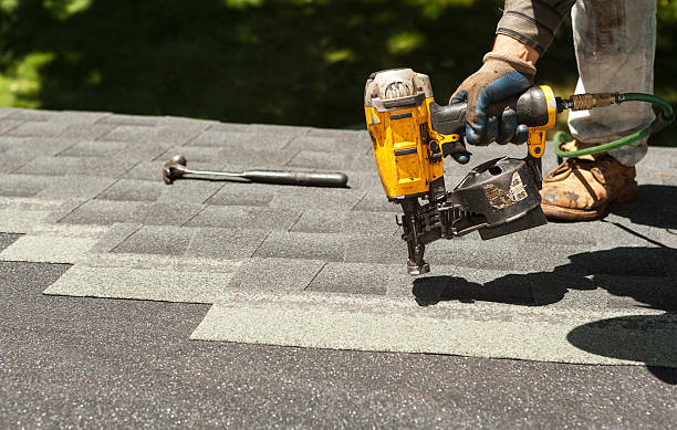 Best Roof Gutter Cleaning  in Chocowinity, NC
