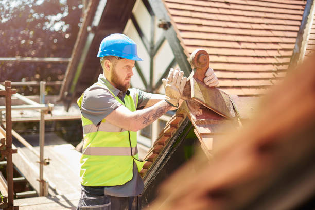 Best Storm Damage Roof Repair  in Chocowinity, NC